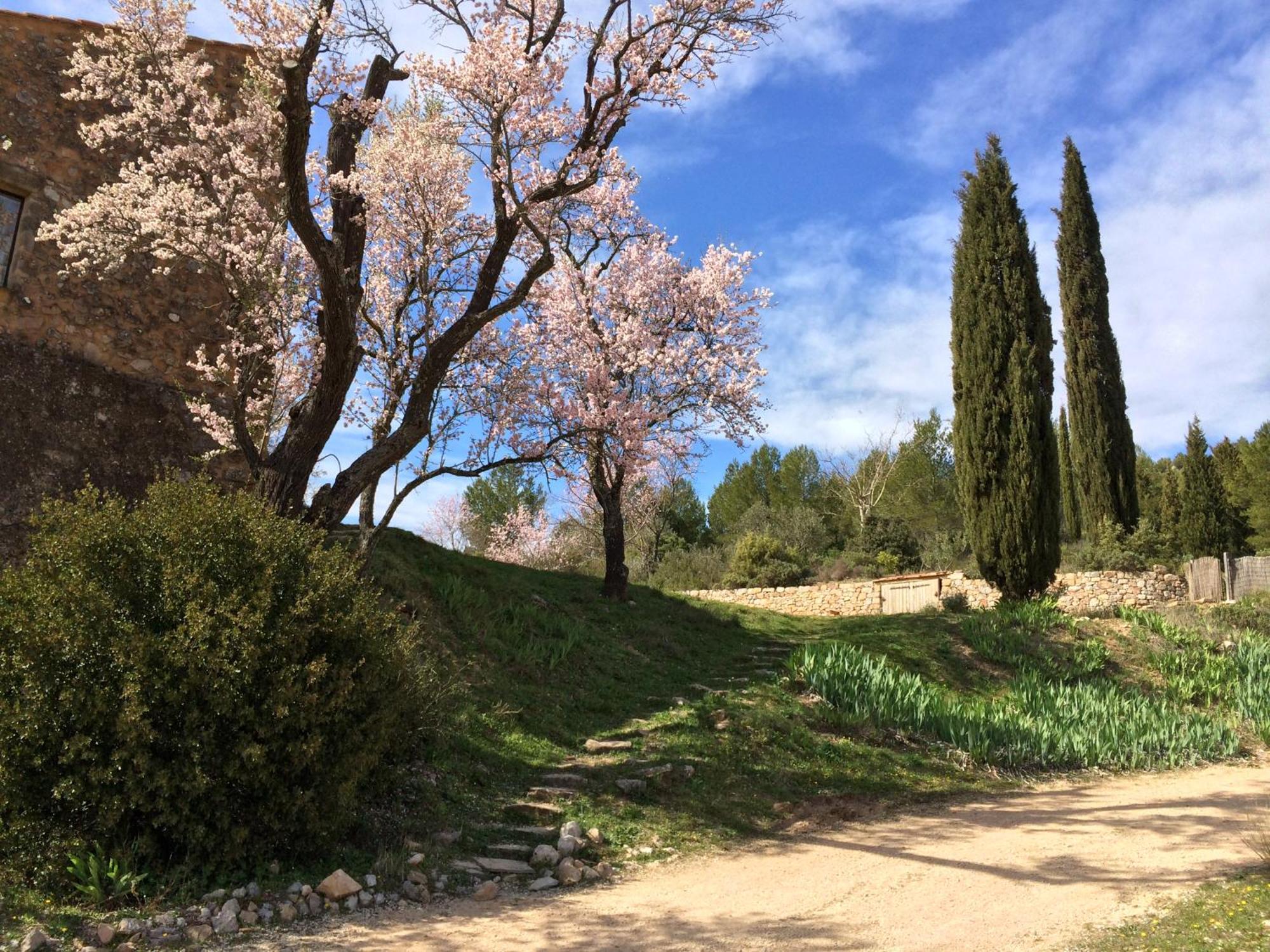 Maison A Aix En Provence Au Pied De La Sainte Victoire Beaurecueil Εξωτερικό φωτογραφία