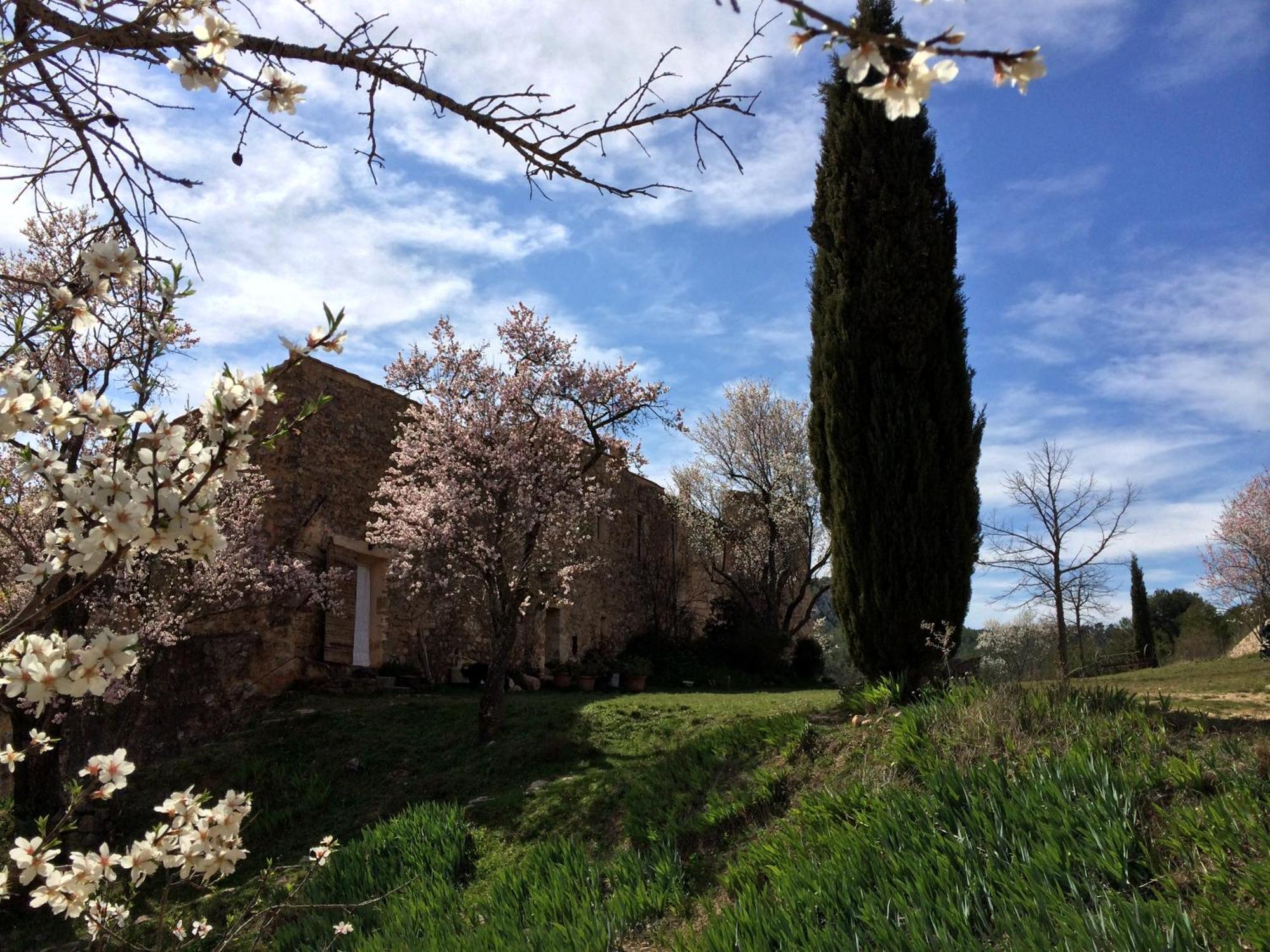 Maison A Aix En Provence Au Pied De La Sainte Victoire Beaurecueil Εξωτερικό φωτογραφία